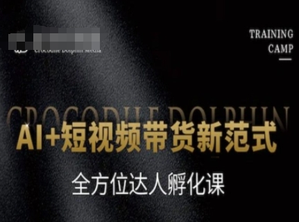AI+短视频带货新范式，全方位达人孵化课 - HEIXMI（中国站）-HEIXMI（中国站）
