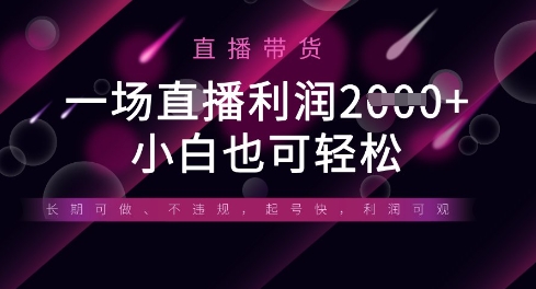 半无人直播带货，一场利润数张，适合所有平台玩法，小白也可轻松-HEIXMI（中国站）