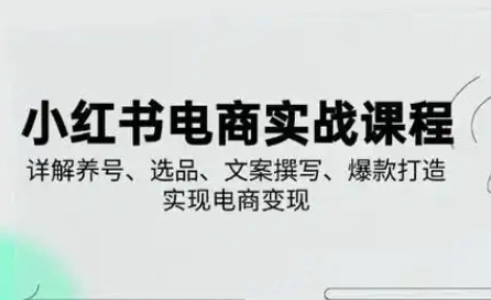 小红书从0-1实操课(2023-2025)，详解养号、选品、文案撰写、爆款打造实现电商变现-HEIXMI（中国站）
