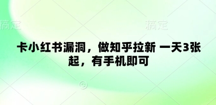 卡小红书漏洞，做知乎拉新 一天3张起，有手机即可-HEIXMI（中国站）