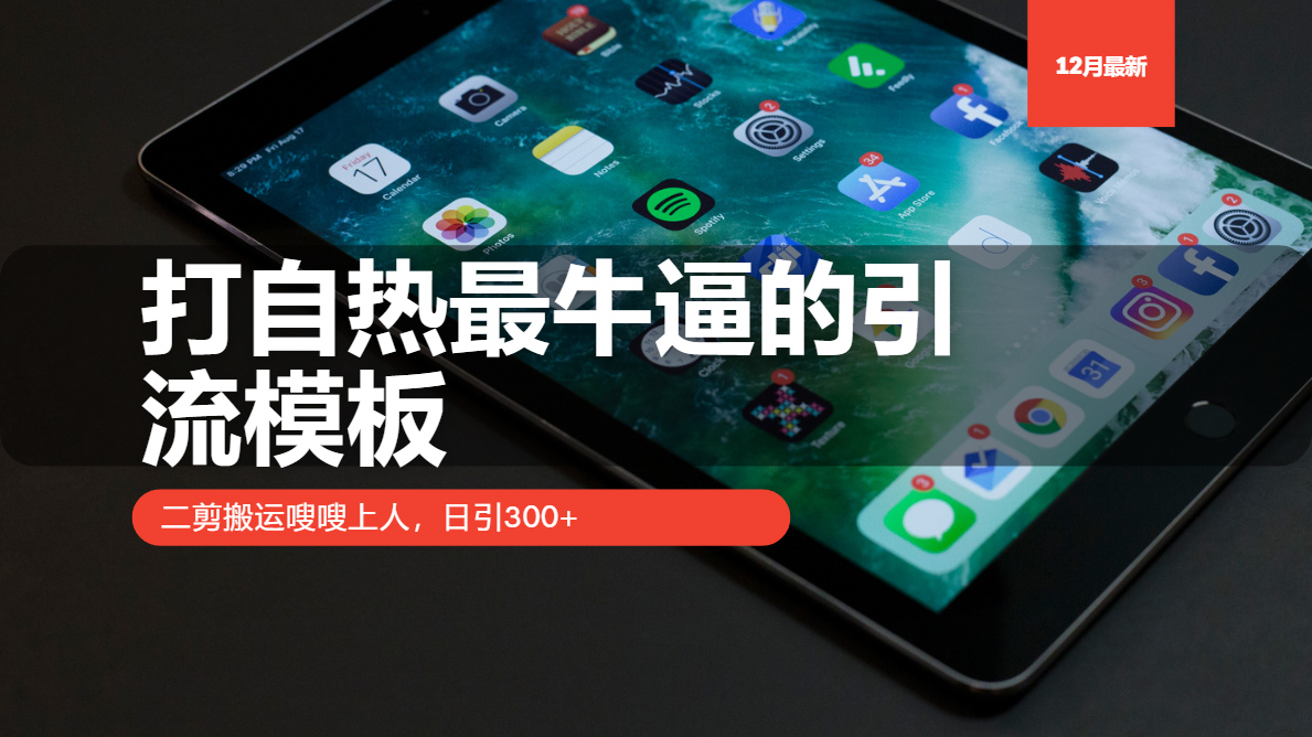 打自热最牛逼的引流模板，二剪搬运嗖嗖上人，日引300+-HEIXMI（中国站）