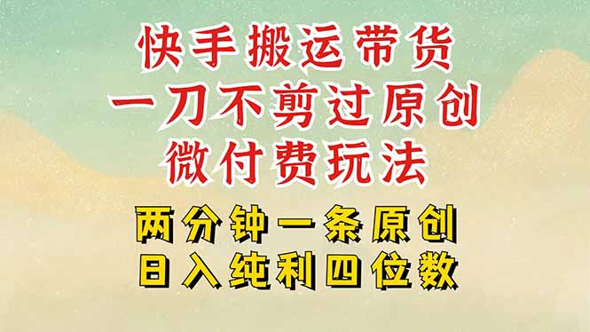 快手黑科技搬运带货，一刀不剪过原创，微付费投流玩法，轻松日入四位数…-HEIXMI（中国站）