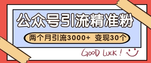 公众号精准粉引流玩法，2个月3000+精准粉，变现30个W【揭秘】 - HEIXMI（中国站）-HEIXMI（中国站）
