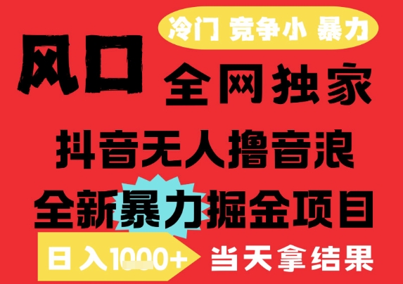 25年6月高爆抖音无人直播最新撸音浪掘金项目，解放双手小白可做，无脑日入1k+，门槛低【揭秘】 - HEIXMI（中国站）-HEIXMI（中国站）