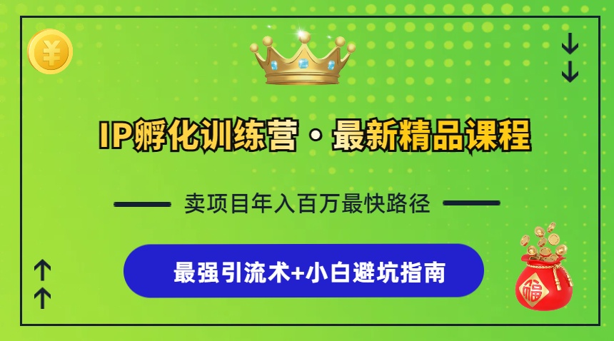 IP孵化训练营，知识付费全流程+最强引流术+小白避坑指南-HEIXMI（中国站）