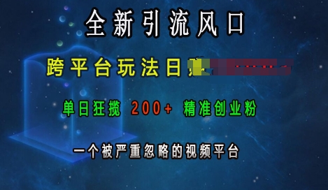 全新引流风口，跨平台玩法日入上k，单日狂揽200+精准创业粉，一个被严重忽略的视频平台-HEIXMI（中国站）