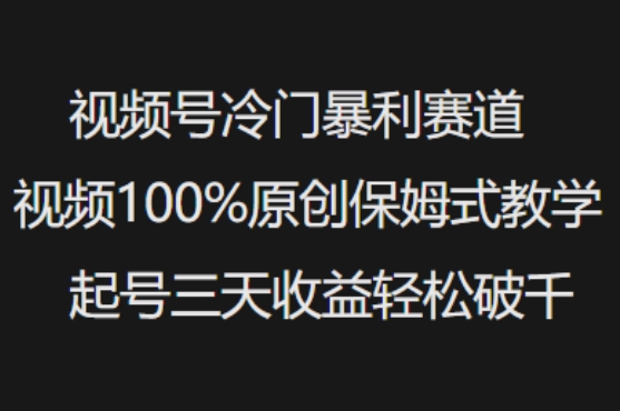 视频号冷门暴利赛道视频100%原创保姆式教学起号三天收益轻松破千-HEIXMI（中国站）