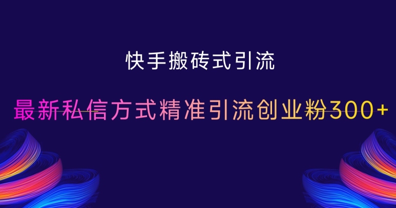 快手搬砖式引流，最新私信方式精准引流创业粉300+-HEIXMI（中国站）