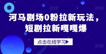 河马剧场0粉拉新玩法，短剧拉新嘎嘎爆-HEIXMI（中国站）