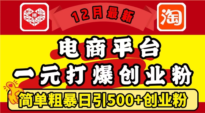 12月最新：电商平台1元打爆创业粉，简单粗暴日引500+精准创业粉，轻松月入过W【揭秘】-HEIXMI（中国站）