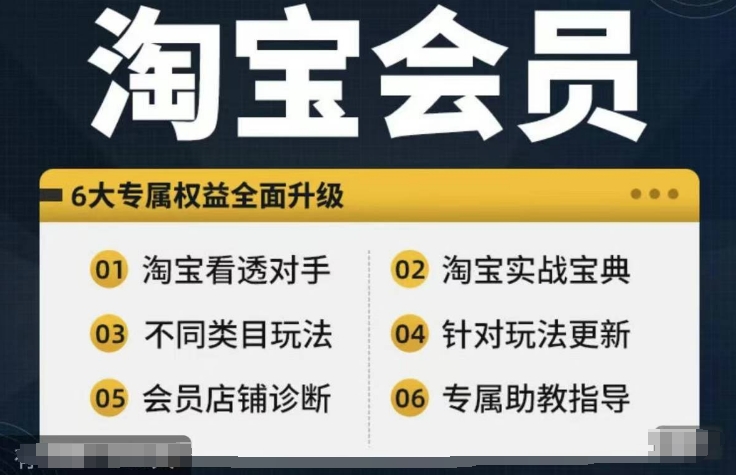 淘宝会员【淘宝所有课程，全面分析对手】，初级到高手全系实战宝典-HEIXMI（中国站）