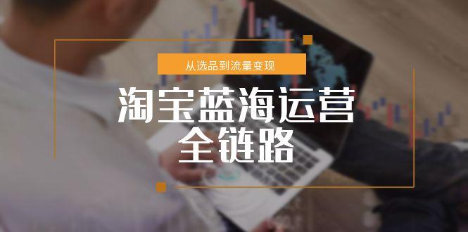 淘宝蓝海运营全链路，从选品到流量变现，小类目突围完整方案 - HEIXMI（中国站）-HEIXMI（中国站）