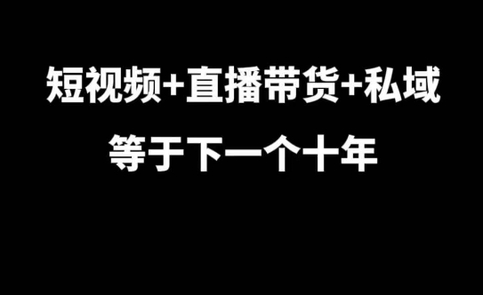 短视频+直播带货+私域等于下一个十年，大佬7年实战经验总结-HEIXMI（中国站）