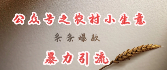 deepseek写农村小项目，条条爆款，暴力引流-HEIXMI（中国站）