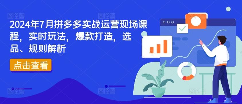 2024年7月拼多多实战运营现场课程，实时玩法，爆款打造，选品、规则解析-HEIXMI（中国站）