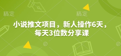 小说推文项目，新人操作6天，每天3位数分享课-HEIXMI（中国站）
