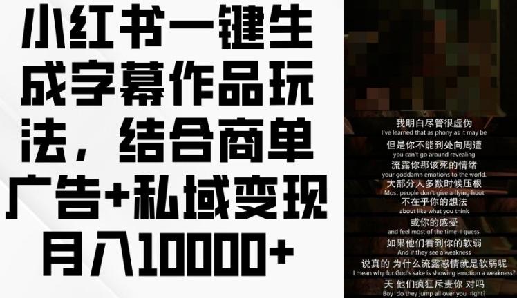 小红书一键生成字幕作品玩法，结合商单广告+私域变现月入1w+【揭秘】-HEIXMI（中国站）