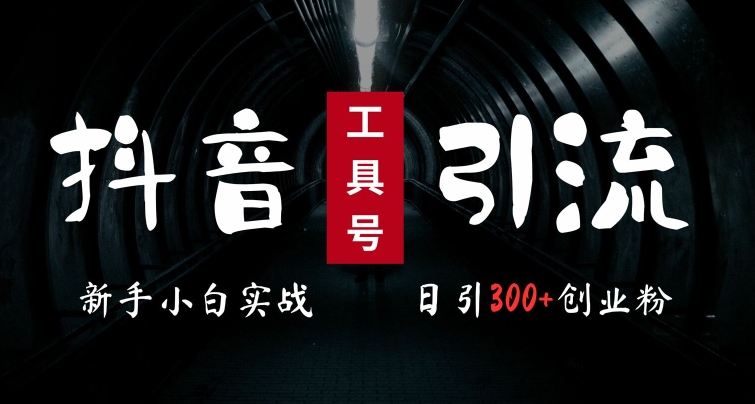 2024最新抖音工具号引流玩法，高效日引300+创业粉，当天变现5k，小白也可成为实战高手-HEIXMI（中国站）