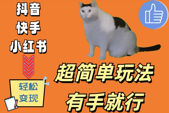 超简单玩法，有手就行，靠猫咪视频日入500+【揭秘】-HEIXMI（中国站）