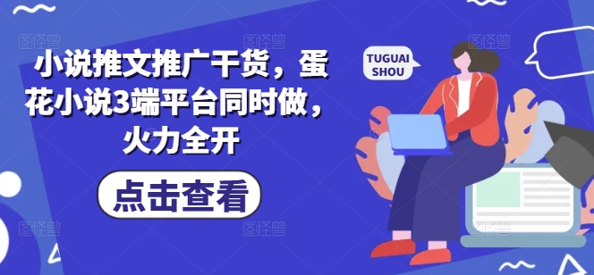 小说推文推广干货，蛋花小说3端平台同时做，火力全开-HEIXMI（中国站）