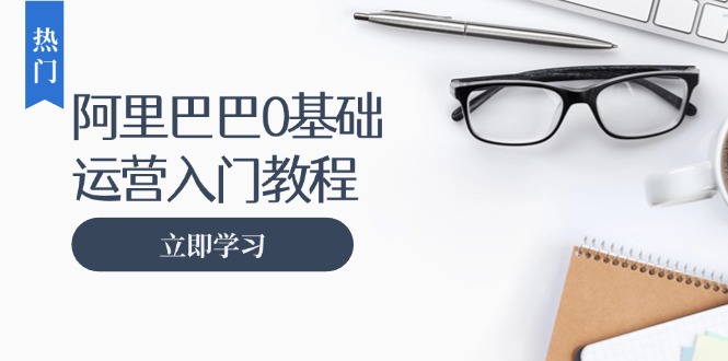 阿里巴巴运营零基础入门教程：涵盖开店、运营、推广，快速成为电商高手-HEIXMI（中国站）