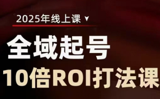 2025全域起号10倍ROI打法课，助你提升直播间的投资回报率-HEIXMI（中国站）