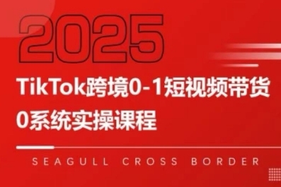 TikTok跨境0-1短视频带货，系统拆解TikTok跨境带货全链路，实现跨境可持续盈利-HEIXMI（中国站）