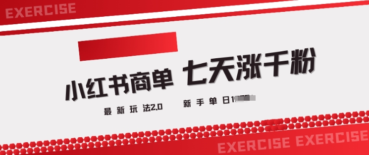 小红书商单2.0最新玩法，3天涨千粉单日变现多张-HEIXMI（中国站）