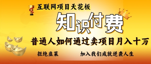 互联网项目天花板，知付付费项目，普通人如何通过卖项目月入十个，拒绝韭菜【揭秘】-HEIXMI（中国站）