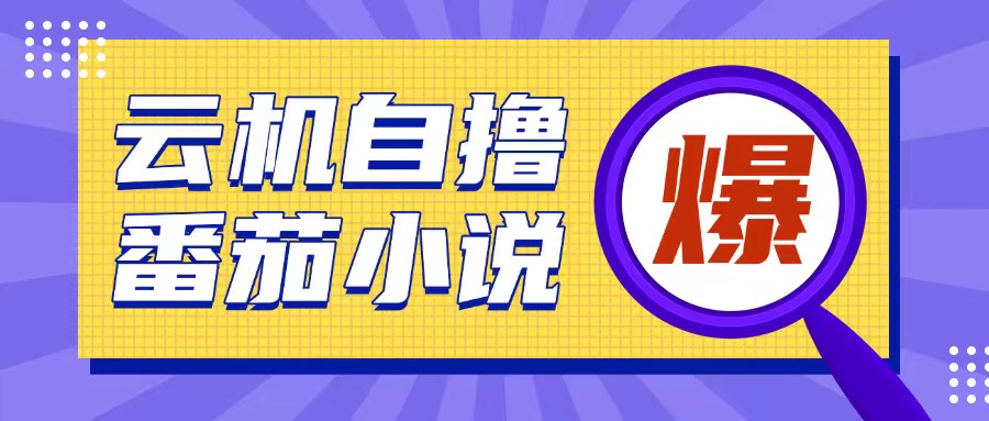 首发云手机自撸小说玩法，10块钱成本可撸200+收益操作简单【揭秘】-HEIXMI（中国站）