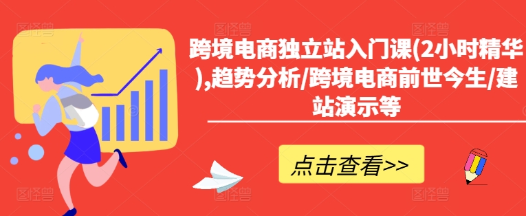 跨境电商独立站入门课(2小时精华),趋势分析/跨境电商前世今生/建站演示等-HEIXMI（中国站）