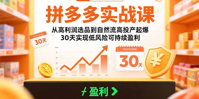 拼多多实战课：从高利润选品到自然流高投产起爆 30天实现低风险可持续盈利-HEIXMI（中国站）