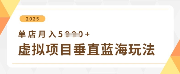 虚拟项目垂直玩法，实现单店月入5k+-HEIXMI（中国站）