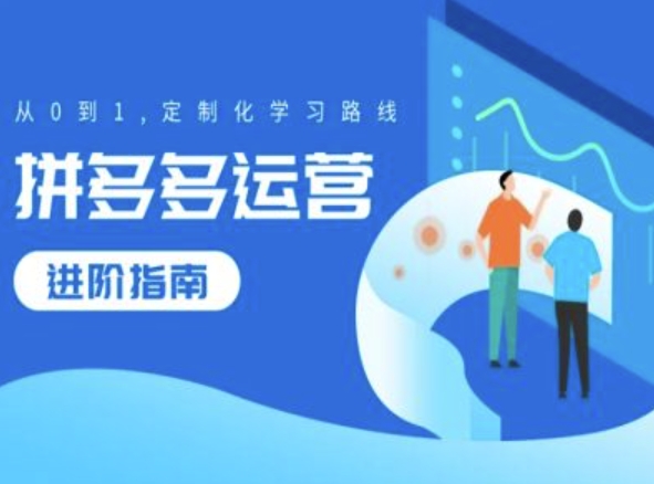 拼多多运营进阶指南，从0到1定制化学习路线-HEIXMI（中国站）
