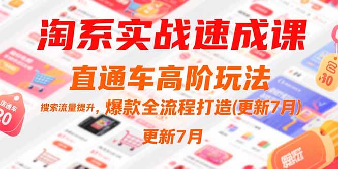 淘系实战速成课，直通车高阶玩法，搜索流量提升，爆款全流程打造(更新7月-HEIXMI（中国站）