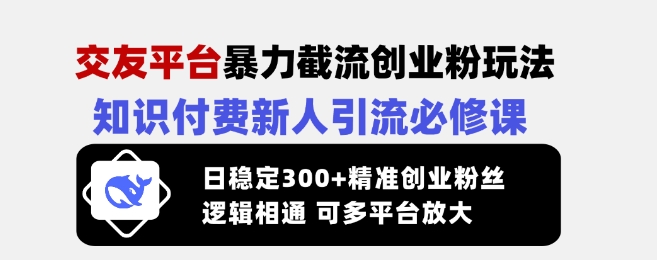 交友平台暴力截流创业粉玩法，知识付费新人引流必修课，日稳定300+精准创业粉丝，逻辑相通可多平台放大-HEIXMI（中国站）