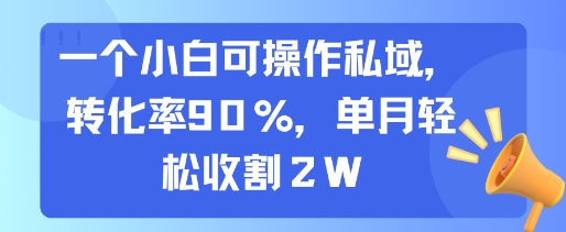 一个小白可操作私域，转化率90%，单月轻松收割2W-HEIXMI（中国站）