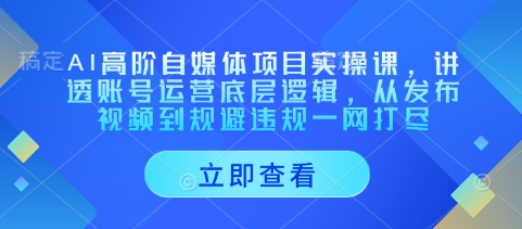 AI高阶自媒体项目实操课，讲透账号运营底层逻辑，从发布视频到规避违规一网打尽-HEIXMI（中国站）
