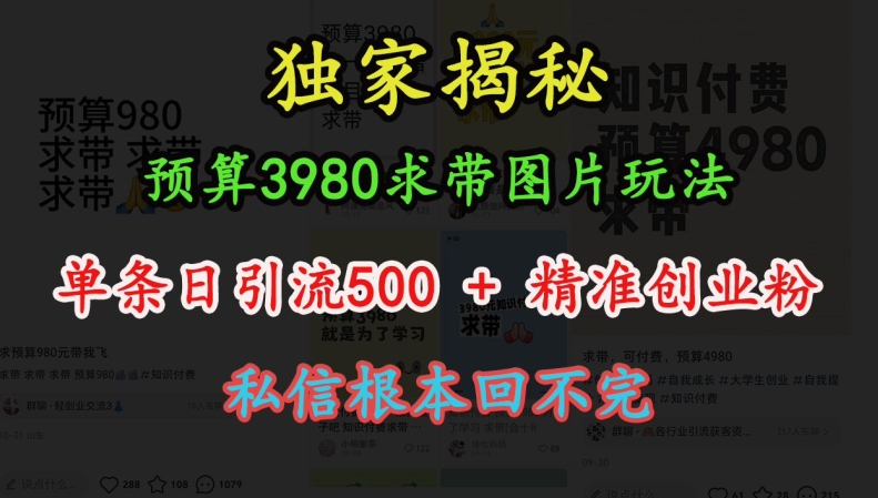 预算3980求带 图片玩法，单条日引流500+精准创业粉，私信根本回不完-HEIXMI（中国站）