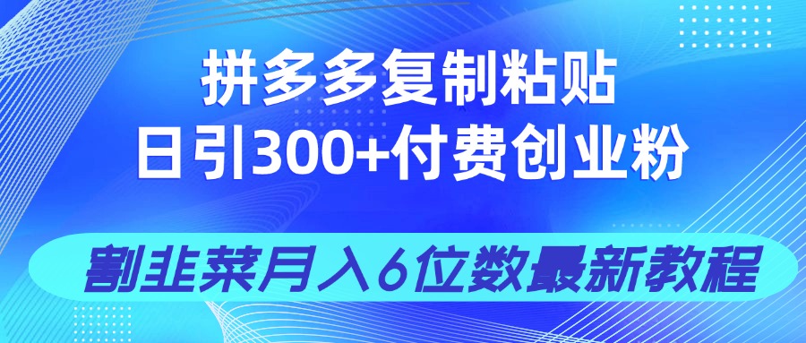 拼多多复制粘贴日引300+付费创业粉，割韭菜月入6位数最新教程！-HEIXMI（中国站）