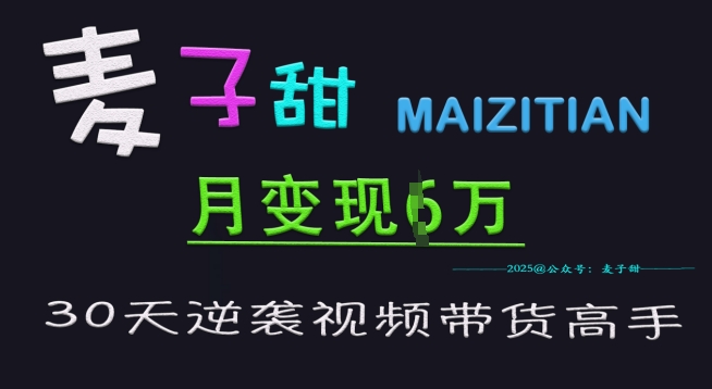 麦子甜30天逆袭视频带货高手，单月变现6W加特训营-HEIXMI（中国站）