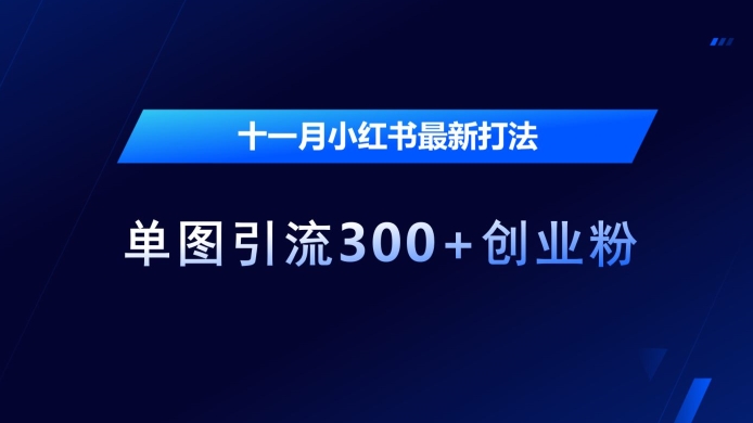 十一月小红书最新打法，单图引流300+创业粉【揭秘】-HEIXMI（中国站）
