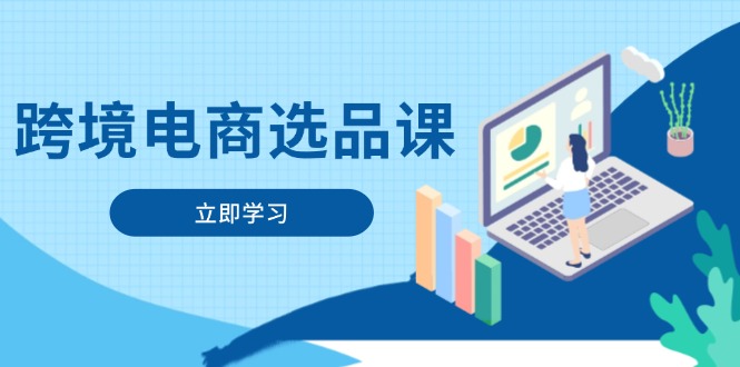 跨境电商选品课：涵盖电动滑板车、健康医疗、电子游戏、厨房用品、宠物等-HEIXMI（中国站）