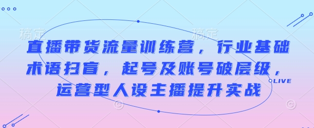 直播带货流量训练营，行业基础术语扫盲，起号及账号破层级，运营型人设主播提升实战-HEIXMI（中国站）