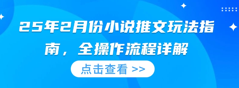 25年2月份小说推文玩法指南，全操作流程详解-HEIXMI（中国站）