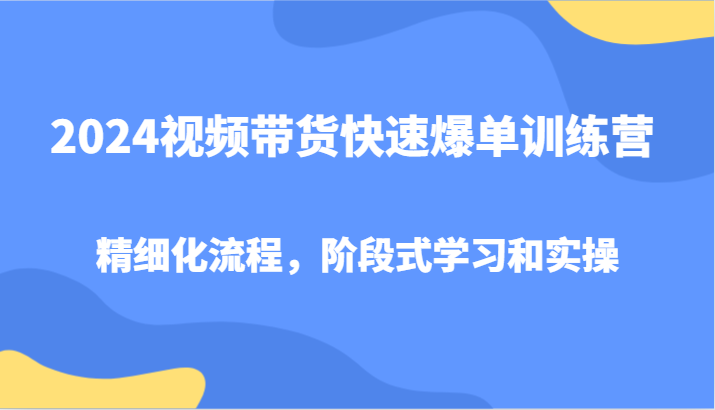 2024视频带货快速爆单训练营，精细化流程，阶段式学习和实操-HEIXMI（中国站）