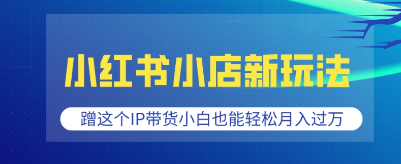 小红书小店新玩法，蹭这个IP带货，小白也能轻松月入过W【揭秘】-HEIXMI（中国站）