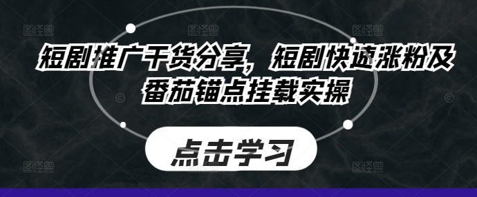 短剧推广干货分享，短剧快速涨粉及番茄锚点挂载实操-HEIXMI（中国站）