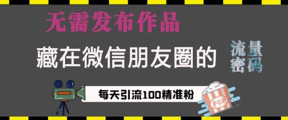 藏在微信朋友圈的流量密码，无需发布作品，单日引流100+精准创业粉【揭秘】-HEIXMI（中国站）