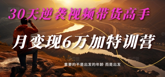 30天逆袭视频带货高手，单月变现6万加特训营-麦子甜-HEIXMI（中国站）